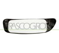 PRASCO FT9107534 vetro specchio esterno sinistro sezione inferiore specchio convesso