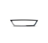 PRASCO VG9522206 Modanatura decorativa / protettiva, Griglia radiatore