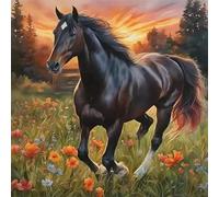 Praterie del cavallo nero 300 Pezzi Puzzle, 300 pezzi puzzle Classico per adulti, Fai Da Te Giochi Educativo e Giocattoli Sfida, Intrattenimento Creativo, Puzzle Impossible