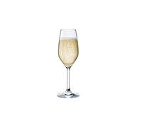 PRATESI CONF.3 CALICI Flute RESTAUR.24 CL