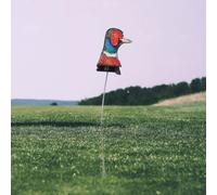 Pratica Bersaglio Piccolo Bersaglio a Forma di Gallo per Campo di