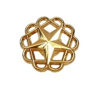 Pratica e stabile in lega a stella Lteel Pin spilla alla moda accessorio per trendsetters e forniture per ufficio casual Wear Collectible distintivo, Taglia unica, come descritto