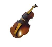 Praticare il violino Violino 4/4 dal design unico suono ricco e potente