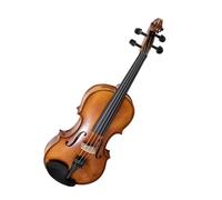 Praticare il violino Violino fatto a mano in legno massello Strumenti musicali(1/2)