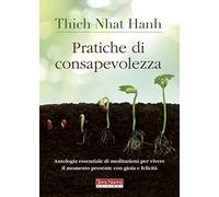 Pratiche di consapevolezza. Antologia essenziale di meditazioni per vivere il momento presente con gioia e felicità