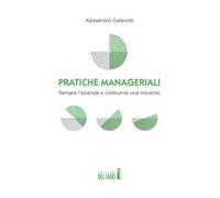 Pratiche manageriali. Pensare l'azienda e costruirne una vincente