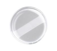 Pratico applicatore per cuscino in silicone moda soffio cosmetico facile da mantenere delicato sulla pelle per diversi tipi di trucco soffio cuscino in silicone trasparente