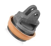 Pratico set di ricambi per pistoni in ghisa per pompe a mano da giardino, include anelli di tenuta in pelle extra adatti a tipo 75 componente di riparazione dello stantuffo dell'acqua