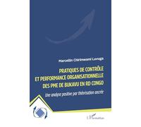 Pratiques de contrôle et performance organisationnelle des PME de Bukavu en RD Congo: Une analyse positive par théorisation ancrée
