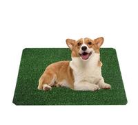 Prato A Tappeto In Artificiale Per Cani, Tappetino In Lavabile Per Allenamento Per Animali graspad per i cani strong assorbenza morbida e per l'addestramento in pentola degli anima