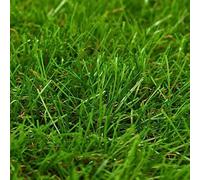 Prato artificiale verde, 1,33 x 10 m, con altezza del pelo di 40 mm, resistente ai raggi UV, resistente alle intemperie e facile da pulire, ideale per giardino, balcone, soggiorno, ufficio e uso