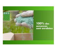 Prato - BHS - Seaside Lawn 1kg | 40m² | Resistente al vento, alla siccità, alla salinità | Bellissimo prato estivo, estetico e robusto.
