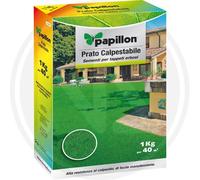 PAPILLON SEMENTE PRATO CALPESTABILE SCATOLA KG.1 PER TAPPETI ERBOSI COD.FI96894