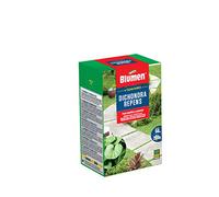 Semi di erba per prato - Dichondra Repens - da 200 gr - fino a 50 mq