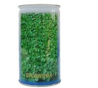 Prato Dichondra Repens 50% Barattolo da 453gr. Sgaravatti