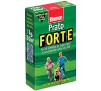 PRATO FORTE VIGOROSO E CALPESTABILE BLUMEN 1KG