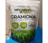 Prato Gramigna 500 gr MAGNANI
