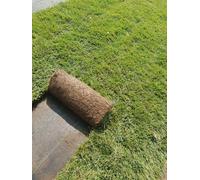 PRATO INGLESE NATURALE A ROTOLI 5 METRI QUADRI (festuca + poa)