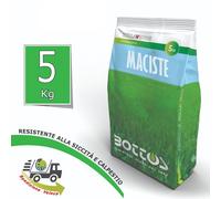 PRATO MACISTE Semi professionali prato tappeto erboso da 5 KG