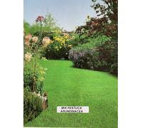 PRATO MIX FESTUCA KG 5 Sementi Prato Professionale