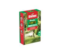 Prato ombreggiato blumen 1kg 45020