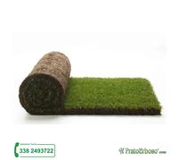 Prato pronto a rotoli in erba naturale by PratoErboso - 5 mq