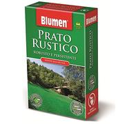 Semi di Erba per Prato RUSTICO per Semina - Robusto, Resistente - 1 kg per 50 mq
