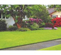 Prato Sintetico Confine Rt. Mtl. 3 x mt. 2 h Spessore mm. 7 Confine Arredo da es