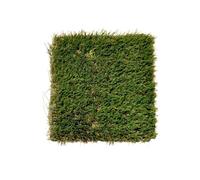 Prato Sintetico Erba Finta Artificiale MEMORY 35 mm, 3 kg/m2, massima densità