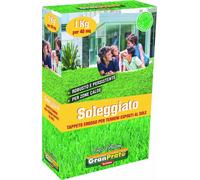 PRATO , SOLE . KG.1 , MISCUGLIO gran prato