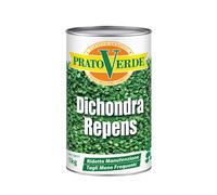 Prato Verde DICHONDRA REPENS Semi sementi prato per tappeti erbosi