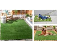 PratoErboso LawnCarpet - L' Originale Tappeto in Erba Vera 100% Naturale per uomo e animali. Lettiera per Cani e Gatti in Erba Vera Naturale. Zona Relax per tutti.