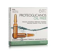 Praxis Laboratorios Proteoglicanos Oil Free 6 x 2 ml ampoules