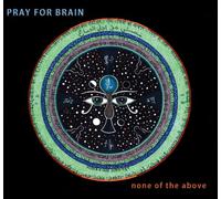 Pray For Brain - None Of The Above