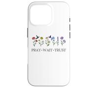 Pray Wait Trust in the Lord God Has a Plan Christian Faith Custodia per iPhone 16 Pro