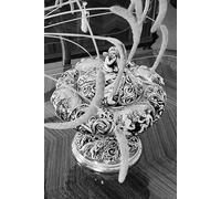 Prayer and the spirit : Greek philosophy in dialogue with the world: First edition in two languages - with an international research perspective