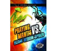 Praying Mantis Vs. Black Widow Spider