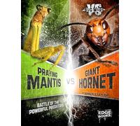 Praying Mantis vs. Giant Hornet: Battle of the Powerful Predators