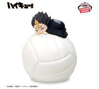 PRE ORDINE Haikyu Luce camera da letto - Yū Nishinoya - premio Bandai...
