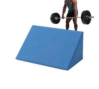 Preacher Curl Pad | Polyester Cotton & Sponge, 19.7in X 9.8in X 7.9in | Bicep Training Arm Rest For Dumbbell & Barbell | Gym Equipment Cushion