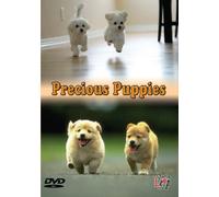Precious Puppies [Edizione: Regno Unito]
