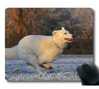 Precisione cucitura bordo mouse pad, tappetino mouse mouse Gaming per mac e windows gamer Cane da pastore svizzero Cane Race Frost Inverno freddo per donna/uomo/bambino venduto da Roger