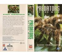 Predators of the Wild - Giant Tarantula