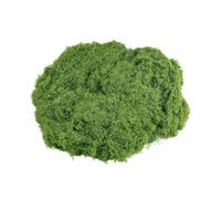 predolo 100 g di muschio finto, piante verdi artificiali, patio, muschio decorativo, piante di licheni verdi finti per erba sintetica, in vaso, artigianato, Verde Scuro