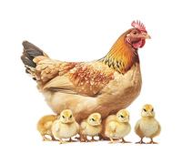 predolo Adesivo murale con, decorazione con galline, galline, carta da parati in PVC impermeabile, decorazione da parete per soggiorno, fattoria