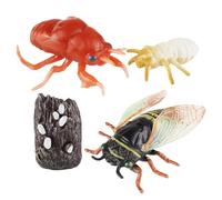 predolo Cicala Life Cycle Set Sussidi didattici Animali di classe Figurine Giocattolo Simulazione Animale per i più piccoli