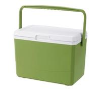 predolo Contenitore Termico Isolato per Ghiaccio da 3 Litri, Contenitore Termico per la conservazione del Freddo/Calore, per la casa, Campeggio, Feste, Verde