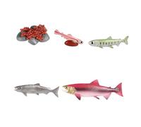predolo dei giocattoli del salmone Figure del ciclo di crescita degli animali Puzzle cognitivo realistico Educativo prescolare per, ROSA