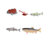 predolo dei giocattoli del salmone Figure del ciclo di crescita degli animali Puzzle cognitivo realistico Educativo prescolare per, MARRONE