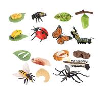 predolo Set di Giocattoli Educativi Interattivi sul per Bambini, stile D, Taglia unica bambino